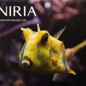 Magnet-Poisson-Coffre